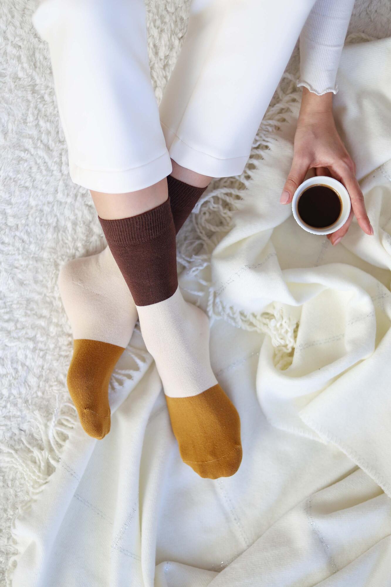 Block Ankle Socks Chestnut-Parchment - HE-QA