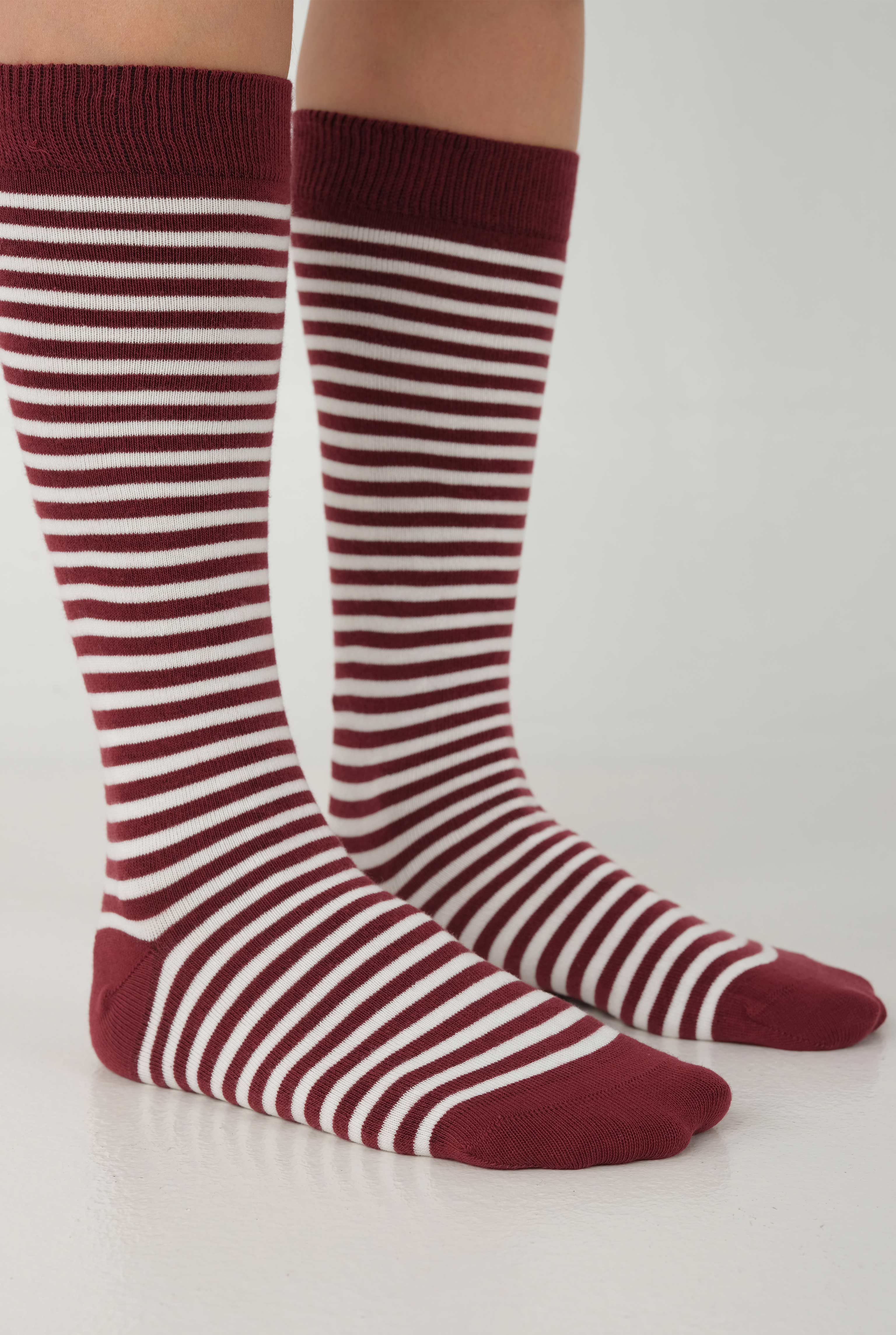 Striped Knee Sock Bordeaux-White - HE-QA
